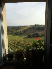 View from the kitchen